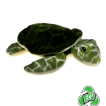 Tortuga