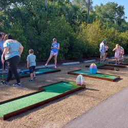 Tampa mini-golf rental