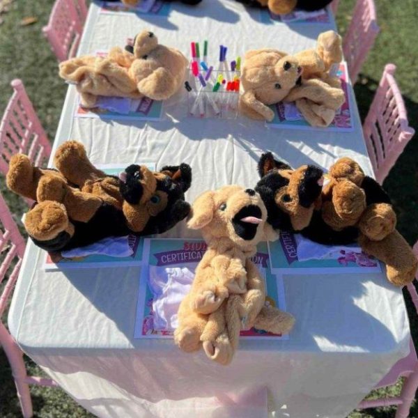 Tampa Florida's #1 Sleepover Teepee Rentals #1 Slumber Party Company in Tampa, Sarasota, Riverview, Parrish, Florida